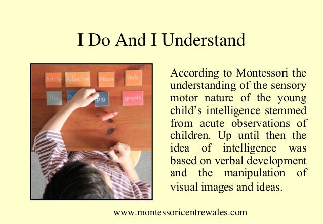 observations of dr montessori From the observations that dr montessori made of these heightened phases of interest sprang a methodology of education which centers on preparing. observations of dr montessori From the observations that dr montessori made of these heightened phases of interest sprang a methodology of education which centers on preparing.