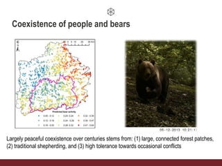 Largely peaceful coexistence over centuries stems from: (1) large, connected forest patches,
(2) traditional shepherding, and (3) high tolerance towards occasional conflicts
Coexistence of people and bears
 