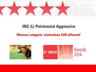ING (L) Patrimonial Aggressive
Winnaar categorie ‘mixfondsen EUR offensief’
 