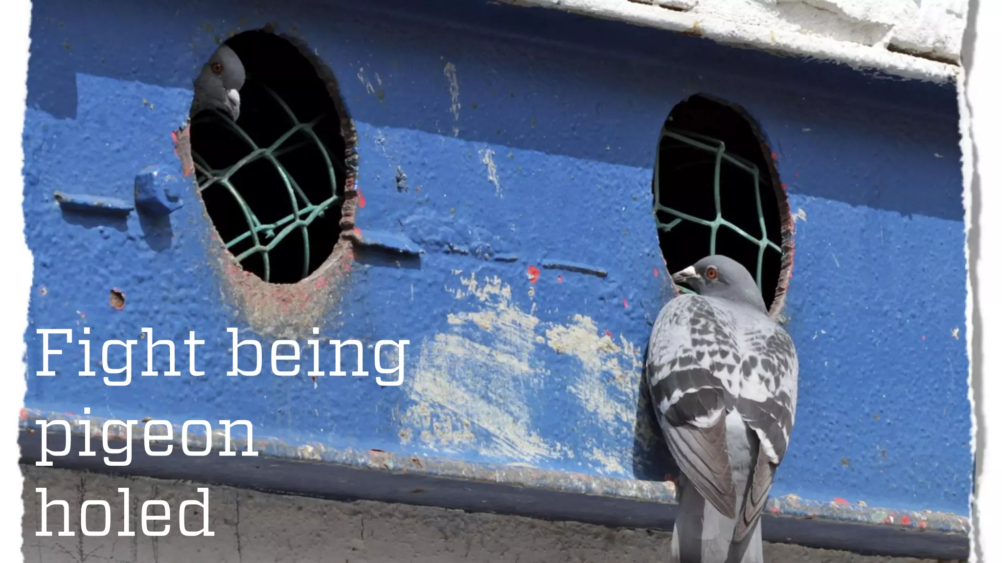 @wilreynolds
Fight being
pigeon
holed
 