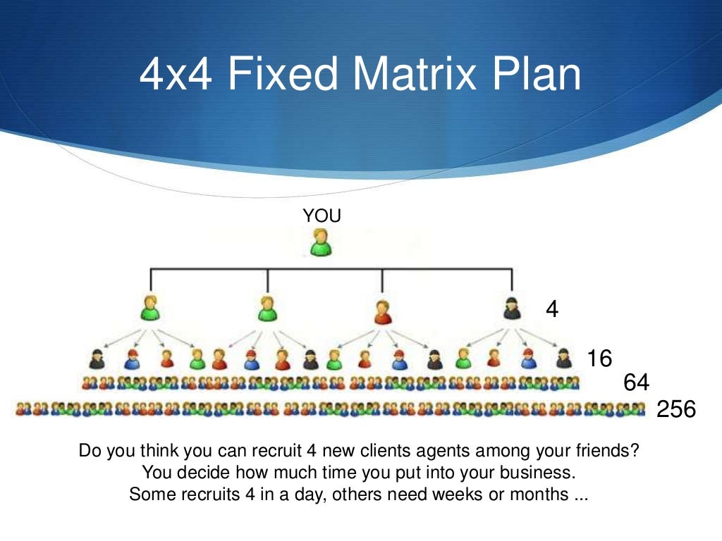Forex mlm scheme