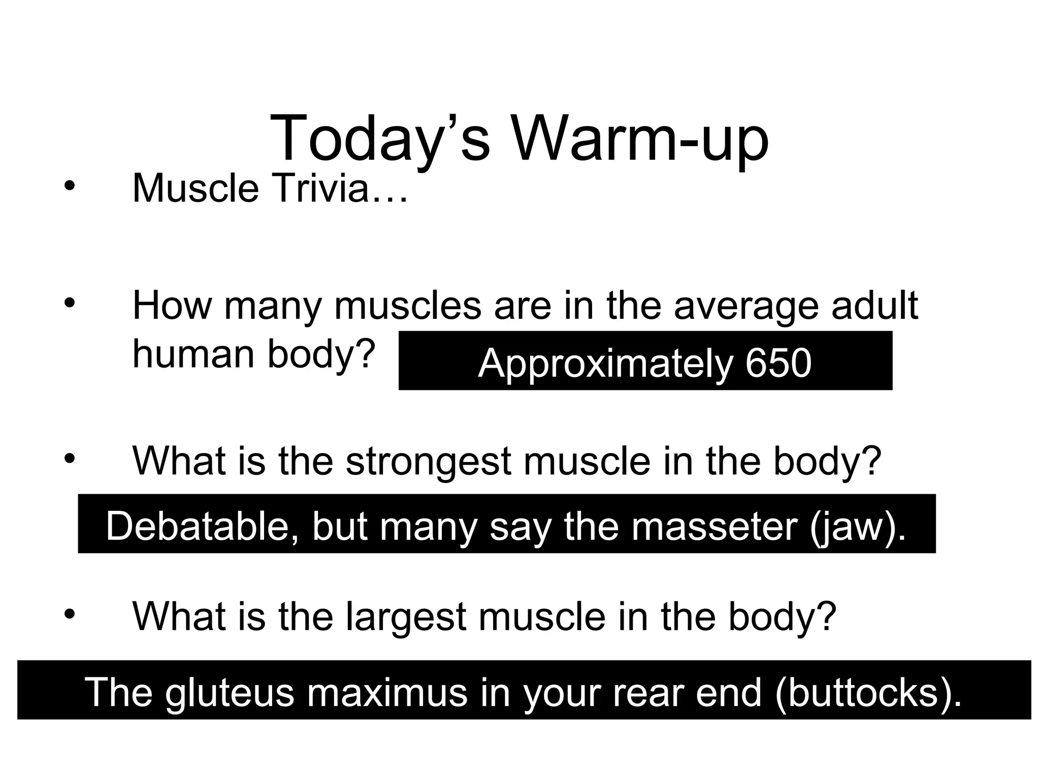Today’s Warm-up
• Muscle Trivia…
• How many muscles are in the average adult
human body?
• What is the strongest muscle in the body?
• What is the largest muscle in the body?
Approximately 650
Debatable, but many say the masseter (jaw).
The gluteus maximus in your rear end (buttocks).
 