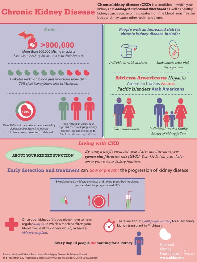 2014 national kidney month infographic