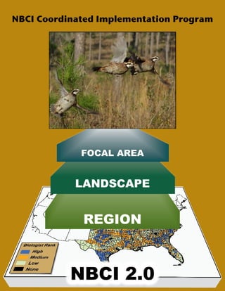 NBCI Coordinated Implementation Program
FOCAL AREA
LANDSCAPE
REGION
NBCI 2.0
 