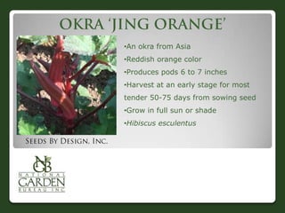 •An okra from Asia
•Reddish orange color
•Produces pods 6 to 7 inches
•Harvest at an early stage for most
tender 50-75 days from sowing seed
•Grow in full sun or shade

•Hibiscus esculentus

 