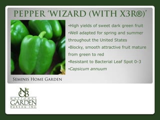 ®
•High yields of sweet dark green fruit
•Well adapted for spring and summer
throughout the United States

•Blocky, smooth attractive fruit mature
from green to red
•Resistant to Bacterial Leaf Spot 0-3
•Capsicum annuum

 