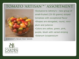 
•Exclusive to Johnny‟s - new group of
small-fruited (25-30 grams) striped
tomatoes with exceptional flavor

•Shapes are elongated, round, miniplum and julienne
•Colors are yellow, green, pink,
purple, blush with varied striping
•Solanum lycopersicum

 