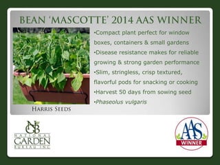 •Compact plant perfect for window
boxes, containers & small gardens
•Disease resistance makes for reliable
growing & strong garden performance

•Slim, stringless, crisp textured,
flavorful pods for snacking or cooking
•Harvest 50 days from sowing seed
•Phaseolus vulgaris

 