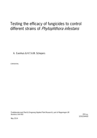 CONFIDENTIAL
A. Evenhuis & H.T.A.M. Schepers
Testing the efficacy of fungicides to control
different strains of Phytophthora infestans
Praktijkonderzoek Plant & Omgeving (Applied Plant Research), part of Wageningen UR
Business Unit AGV PPO no.
3250294400
May 2014
 