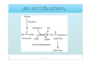 UNA REACCIÓN GENERAL

11

 