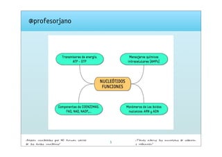 @profesorjano

¿Existen nucleótidos que NO forman parte
de los ácidos nucleicos?

5

¿Tienes claros los conceptos de oxidación
y reducción?

 