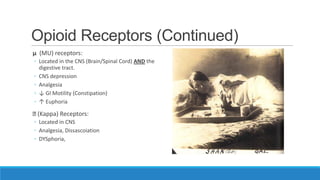 Opioid Receptors (Continued)
μ (MU) receptors:
◦ Located in the CNS (Brain/Spinal Cord) AND the
digestive tract.
◦ CNS depression
◦ Analgesia
◦ ↓ GI Motility (Constipation)
◦ ↑ Euphoria

ⱪ
(Kappa) Receptors:
◦ Located in CNS
◦ Analgesia, Dissascoiation
◦ DYSphoria,

 