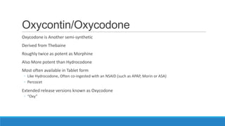 Oxycontin/Oxycodone
Oxycodone is Another semi-synthetic
Derived from Thebaine
Roughly twice as potent as Morphine
Also More potent than Hydrocodone
Most often available in Tablet form
◦ Like Hydrocodone, Often co-ingested with an NSAID (such as APAP, Morin or ASA)
◦ Percocet

Extended release versions known as Oxycodone
◦ “Oxy”

 