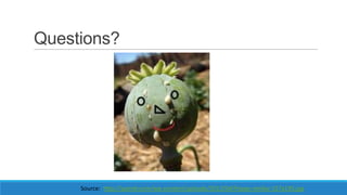 Questions?

Source: http://paindr.com/wp-content/uploads/2013/04/Poppy-smiley-157x195.jpg

 