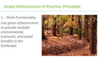Green Infrastructure 101 - DR | PDF
