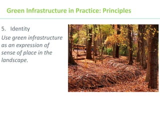 Green Infrastructure 101 - DR | PDF