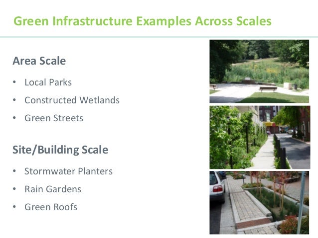 Green Infrastructure 101 DR