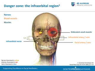 Training for periorbital and upper face treatment with botox and ...