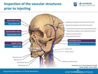 Effects of ageing on the
periorbital region
 