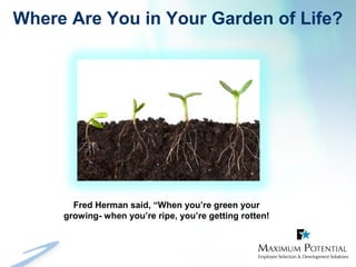 Where Are You in Your Garden of Life?
Fred Herman said, “When you’re green your
growing- when you’re ripe, you’re getting rotten!
 