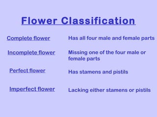 CLASS V EVS | PPT