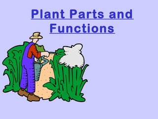 Plant Parts and
Functions
 
