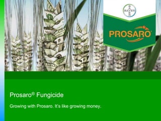 Prosaro® Fungicide
Growing with Prosaro. It‘s like growing money.

 