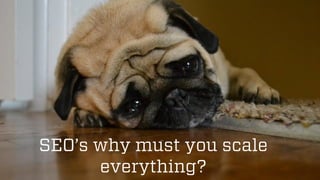 @wilreynolds 
SEO’s why must you scale everything?  