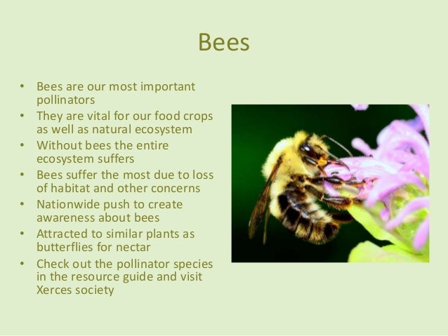 Protecting Natural Resources In Your Own Way Protecting Natural Resources In Your Own Way