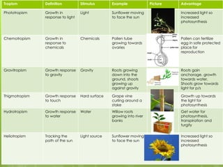 300 Biology Responses to the Environment | PPTX