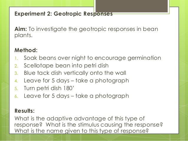 300 biology responses to the environment response to environment