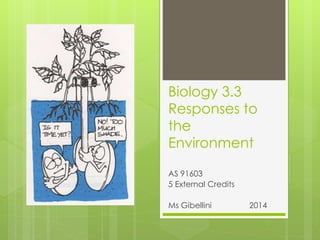 Biology 3.3
Responses to
the
Environment
AS 91603
5 External Credits
Ms Gibellini 2014
 