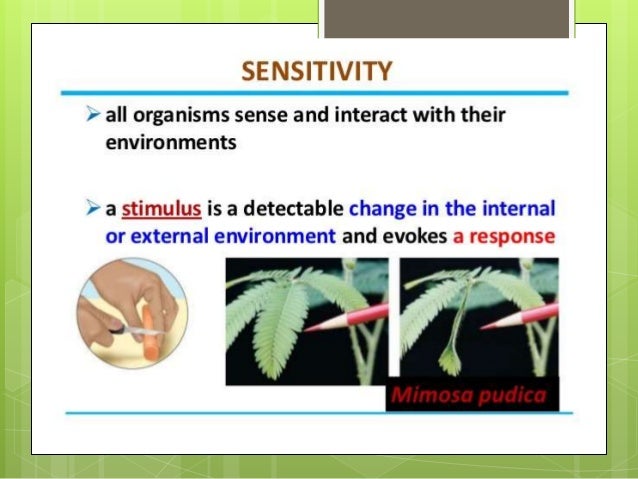 Plant and Animal Responses to the Environment