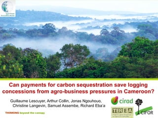 THINKING beyond the canopy
Can payments for carbon sequestration save logging
concessions from agro-business pressures in Cameroon?
Guillaume Lescuyer, Arthur Collin, Jonas Ngouhouo,
Christine Langevin, Samuel Assembe, Richard Eba’a
 