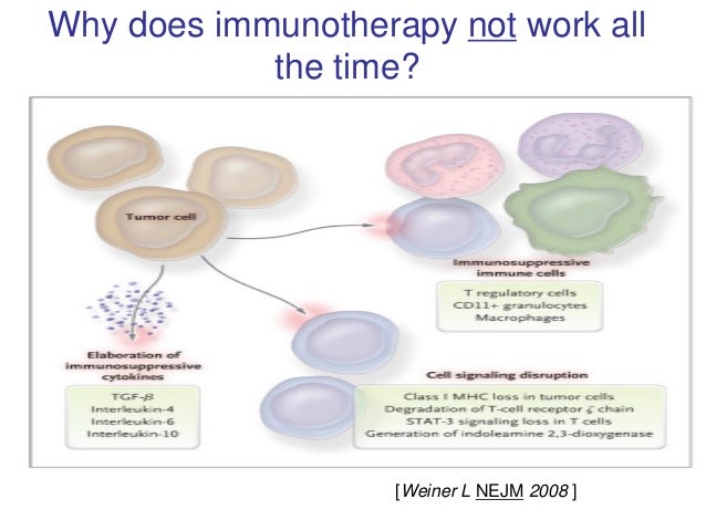 2014 northwest melanoma symposium slide deck how immunotherapy works
