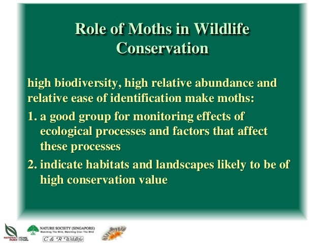 an introduction to biodiversity monitoring The nook book (ebook) of the biodiversity monitoring and conservation: bridging the gap between global commitment and local action by ben collen at barnes. an introduction to biodiversity monitoring The nook book (ebook) of the biodiversity monitoring and conservation: bridging the gap between global commitment and local action by ben collen at barnes.