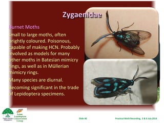 Practical Moth Recording | PPTX