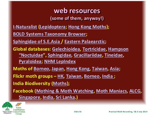 Practical Moth Recording