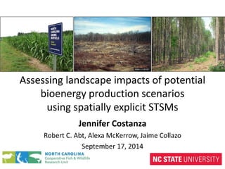 Assessing landscape impacts of potential 
bioenergy production scenarios 
using spatially explicit STSMs 
Jennifer Costanza 
Robert C. Abt, Alexa McKerrow, Jaime Collazo 
September 17, 2014 
 