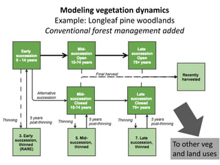 Modeling vegetation dynamics 
Example: Longleaf pine woodlands 
Conventional forest management added 
To other veg 
and land uses 
 