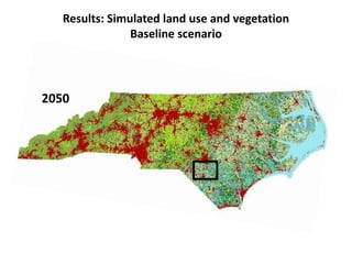 Results: Simulated land use and vegetation 
2050 
Baseline scenario 
 