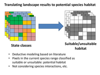 Translating landscape results to potential species habitat 
State classes Suitable/unsuitable 
habitat 
• Deductive modeling based on literature 
• Pixels in the current species range classified as 
suitable or unsuitable: potential habitat 
• Not considering species interactions, etc. 
 