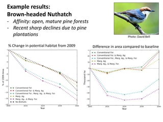 Example results: 
Brown-headed Nuthatch 
- Affinity: open, mature pine forests 
- Recent sharp declines due to pine 
plantations Photo: David Bell 
% Change in potential habitat from 2009 Difference in area compared to baseline 
 