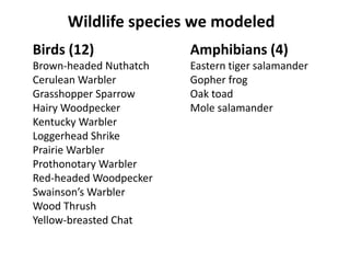 Wildlife species we modeled 
Birds (12) 
Brown-headed Nuthatch 
Cerulean Warbler 
Grasshopper Sparrow 
Hairy Woodpecker 
Kentucky Warbler 
Loggerhead Shrike 
Prairie Warbler 
Prothonotary Warbler 
Red-headed Woodpecker 
Swainson’s Warbler 
Wood Thrush 
Yellow-breasted Chat 
Amphibians (4) 
Eastern tiger salamander 
Gopher frog 
Oak toad 
Mole salamander 
 