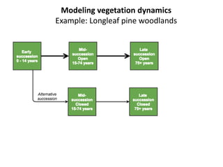 Modeling vegetation dynamics 
Example: Longleaf pine woodlands 
 