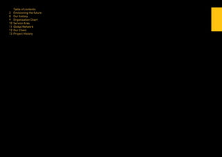 2014 teaminterface company profile