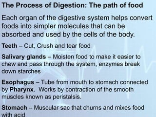 The Process of Digestion: The path of food
Each organ of the digestive system helps convert
foods into simpler molecules that can be
absorbed and used by the cells of the body.
Teeth – Cut, Crush and tear food
Salivary glands – Moisten food to make it easier to
chew and pass through the system, enzymes break
down starches
Esophagus – Tube from mouth to stomach connected
by Pharynx. Works by contraction of the smooth
muscles known as peristalsis.
Stomach – Muscular sac that churns and mixes food
with acid
 