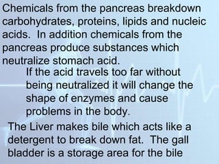 .
Chemicals from the pancreas breakdown
carbohydrates, proteins, lipids and nucleic
acids. In addition chemicals from the
pancreas produce substances which
neutralize stomach acid.
If the acid travels too far without
being neutralized it will change the
shape of enzymes and cause
problems in the body.
The Liver makes bile which acts like a
detergent to break down fat. The gall
bladder is a storage area for the bile
 