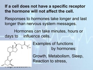 If a cell does not have a specific receptor
the hormone will not affect the cell.
Responses to hormones take longer and last
longer than nervous system messages.
Hormones can take minutes, hours or
days to influence cells.
Examples of functions
controlled by hormones:
Growth, Metabolism, Sleep,
Reaction to stress,
Reproduction.
 