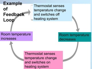 Room temperature
increases
Thermostat senses
temperature change
and switches on
heating system
Thermostat senses
temperature change
and switches off
heating system
Room temperature
decreases
Section 35-1
Example
of
Feedback
Loop
 